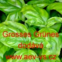 Bazalka prav&aacute; vonn&aacute; Grosses Gr&uuml;nes