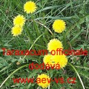 Pampeli&scaron;ka l&eacute;kařsk&aacute;