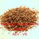 Saturejka horsk&aacute; drcen&aacute;