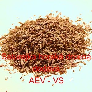 Saturejka horsk&aacute; drcen&aacute;