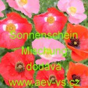 M&aacute;k vlč&iacute; Sonnenschein Mischung