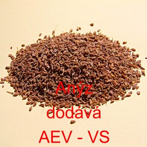 An&yacute;z cel&yacute;