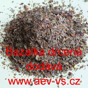 Bazalka drcen&aacute;