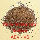 Km&iacute;n ř&iacute;msk&yacute; cumin cel&yacute;