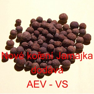 Nov&eacute; kořen&iacute; 