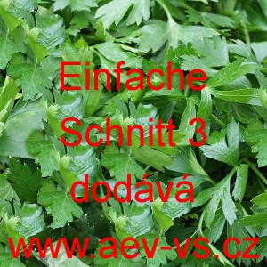 Petržel zahradn&iacute;, naťov&aacute; hladkolist&aacute; Einfache Schnitt 3