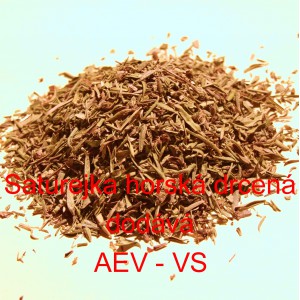 Saturejka horsk&aacute; drcen&aacute;