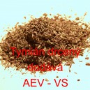 Tymi&aacute;n drcen&yacute;