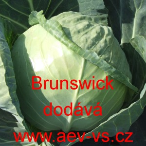 Zel&iacute; hl&aacute;vkov&eacute; b&iacute;l&eacute; Brunswick