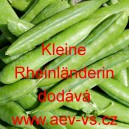 Hr&aacute;ch set&yacute; k vylupov&aacute;n&iacute; Kleine Rheinl&auml;nderin