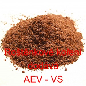 Ro&scaron;těnkov&eacute; kořen&iacute;