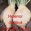 Tuř&iacute;n brukev řepka Helenor