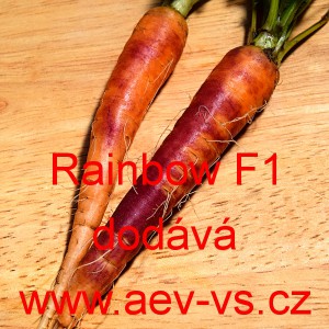 Mrkev obecn&aacute; hybridn&iacute; Rainbow F1