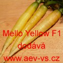 Mrkev obecn&aacute; hybridn&iacute; Mello Yello F1