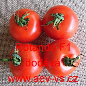 Rajče tyčkov&eacute; hybridn&iacute; Rotando F1