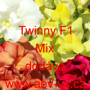 Hled&iacute;k vět&scaron;&iacute; Twinny Mixture F1