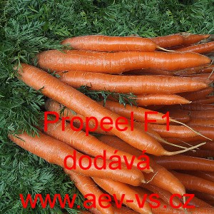 Mrkev obecn&aacute; hybridn&iacute; Propeel F1