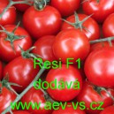 Rajče tyčkov&eacute; Resi F1