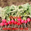 Ředkvička Gran&aacute;t