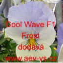 Mace&scaron;ka zahradn&iacute; převisl&aacute; Cool Wave F1 Frost