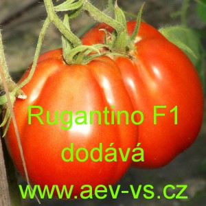 Rajče tyčkov&eacute; hybridn&iacute; Rugantino F1