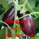 Lilek vejcoplod&yacute; baklaž&aacute;n hybridn&iacute; Sharapova F1