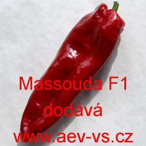 Paprika ročn&iacute; zeleninov&aacute; hybridn&iacute; Massouda F1 (Italian Dulce)