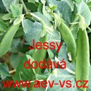 Hr&aacute;ch set&yacute; cukrov&yacute; Jessy