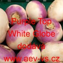 Vodnice brukev řep&aacute;k Purple Top White Globe