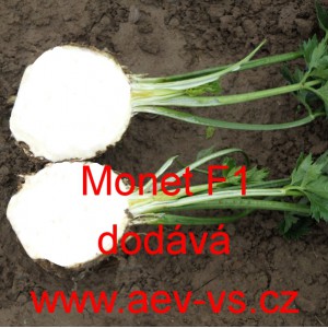 Celer bulvov&yacute; hybridn&iacute; Monet F1