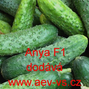 Okurka set&aacute; nakl&aacute;dačka hybridn&iacute; Anya F1