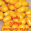 Rajče tyčkov&eacute; Datlo