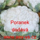 Květ&aacute;k Poranek