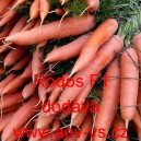 Mrkev obecn&aacute; hybridn&iacute; Rodos F1