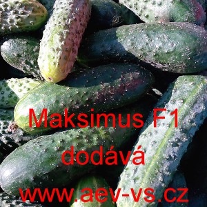 Okurka set&aacute; nakl&aacute;dačka hybridn&iacute; Maksimus F1