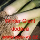 P&oacute;r zahradn&iacute; Winter Giant