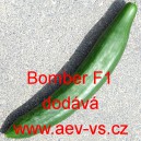 Okurka set&aacute; sal&aacute;tov&aacute; hybridn&iacute; "hadovka" do sklen&iacute;ku Bomber F1
