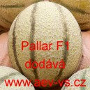 Meloun cukrov&yacute; hybridn&iacute; Pallar F1 (typ cantaloupe)
