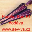 Mrkev obecn&aacute; hybridn&iacute; Purple Sun F1