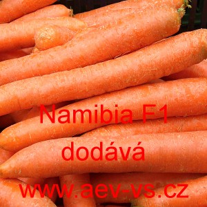 Mrkev obecn&aacute; hybridn&iacute; Namibia F1
