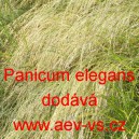 Proso sličn&eacute;