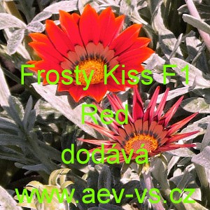 &Uacute;borovka z&aacute;řiv&aacute;, gaz&aacute;nie pevn&aacute; Frosty Kiss F1 Red
