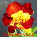 Kejkl&iacute;řka zkř&iacute;žen&aacute; Magic F1 Mix