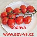 Rajče tyčkov&eacute; hybridn&iacute; Sonet F1