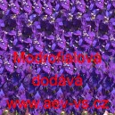 Ostrožka stračka Modrofialov&aacute;