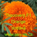 Aksamitn&iacute;k vzpř&iacute;men&yacute; nana Discovery F1 Orange