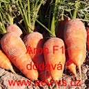 Mrkev obecn&aacute; hybridn&iacute; Aron F1
