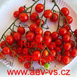 Rajče tyčkov&eacute; Rubinka