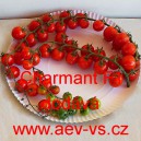 Rajče tyčkov&eacute; hybridn&iacute; Charmant F1