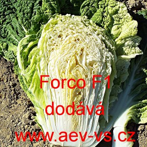 Pekingsk&eacute; zel&iacute; hybridn&iacute; Forco F1